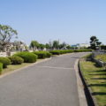 瓜破霊園の画像4